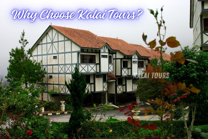 Highlighting Kalai Tours in Coonoor, Ooty, as the trusted choice for arranging premium accommodations and personalized travel experiences. Ideal for travelers seeking comfort and scenic stays in the heart of the hills.