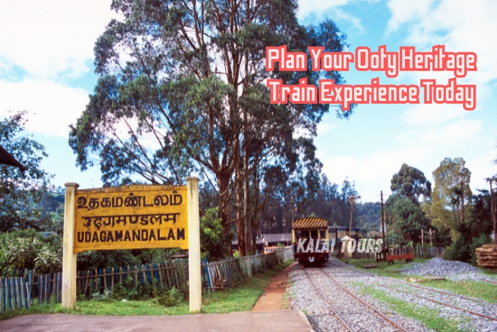 Heritage train arriving at Ooty station surrounded by lush greenery and colonial-era charm, perfect for nostalgic travel with Kalai Tours