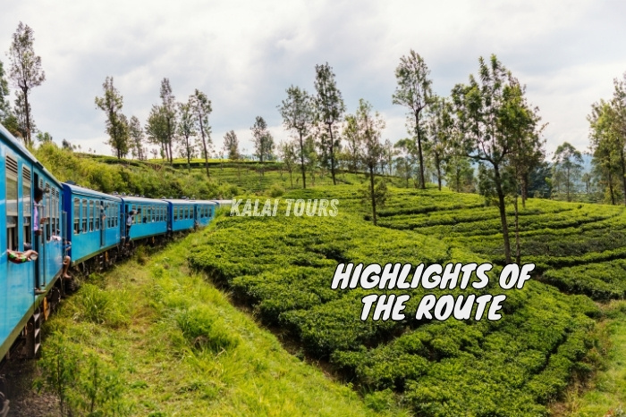 Kalai Tours in Coonoor, Ooty, as your trusted guide for exploring the iconic train journey with all its highlights