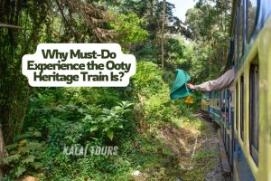 Perfect for travelers looking to relive history and witness Ooty’s breathtaking landscapes on a heritage ride by Kalai Tours in Coonoor, Ooty