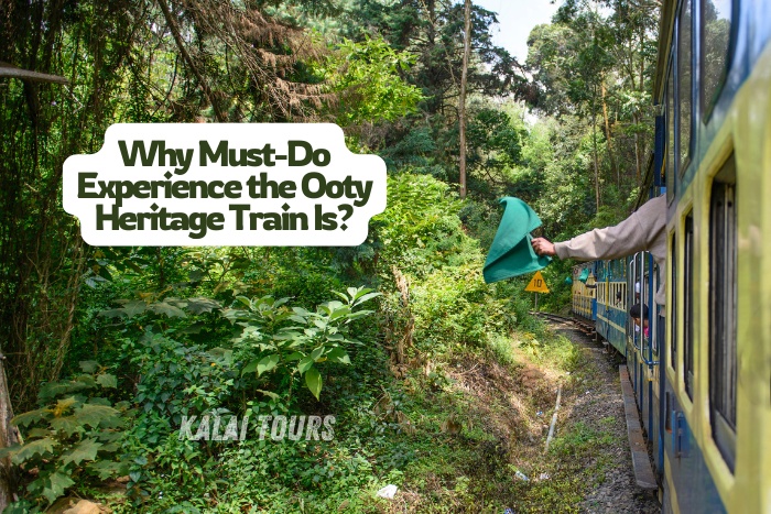 Perfect for travelers looking to relive history and witness Ooty’s breathtaking landscapes on a heritage ride by Kalai Tours in Coonoor, Ooty
