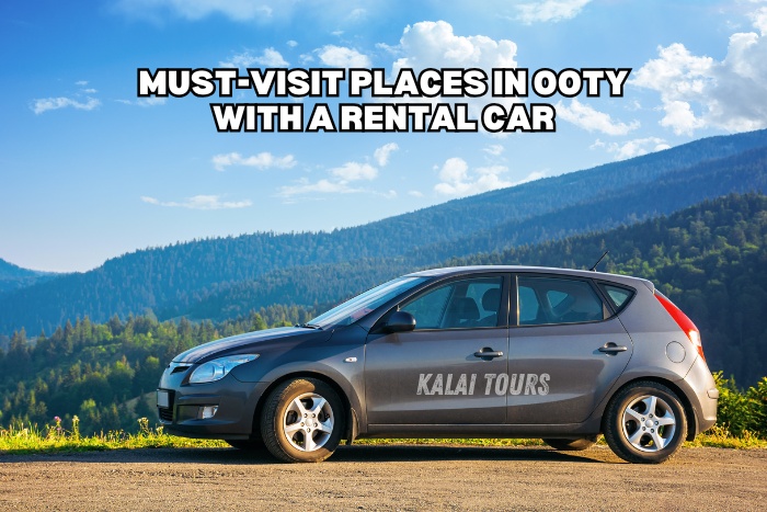 Reliable car rental provider for scenic road trips in the Nilgiris at Kalai Tours in Coonoor, Ooty