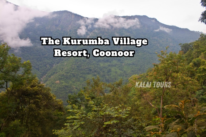 Trusted travel guide in the Nilgiris. Ideal for couples, families, and nature lovers exploring by Kalai Tours Coonoor and Ooty
