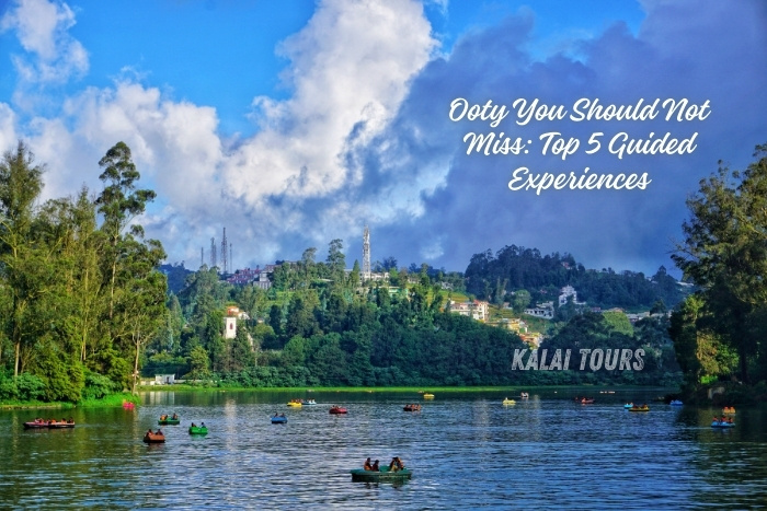 Kalai Tours in Coonoor, Ooty, as your expert guide for top 5 must-experience guided activities in the Nilgiris